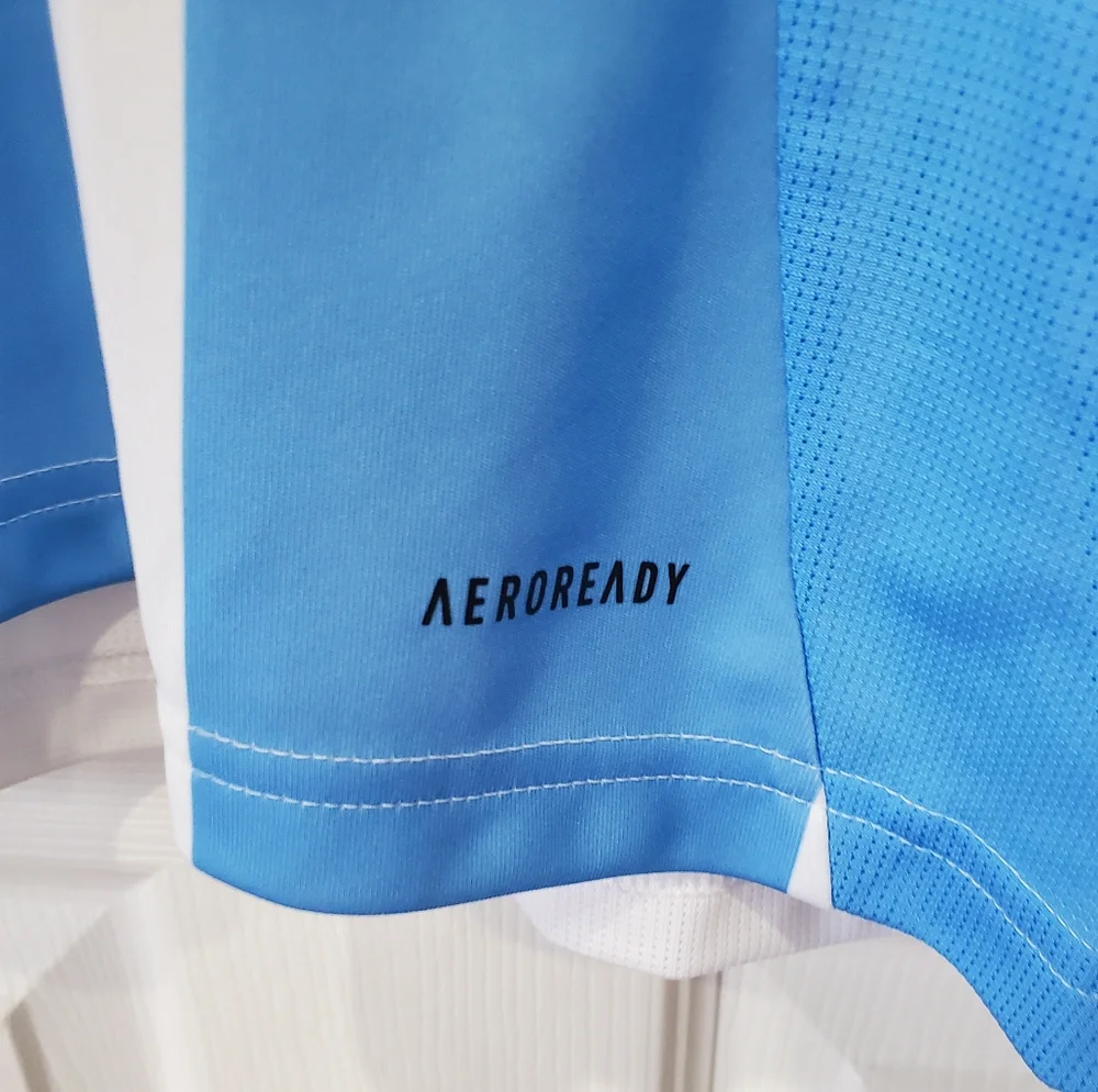 Adidas Argentina 2024 Messi 10 Home Jersey AFA Copa America Men Size Large
